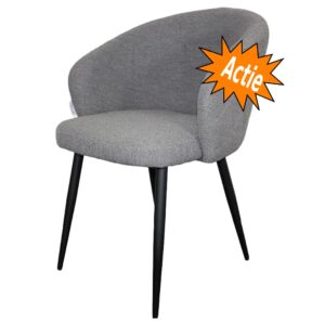 Eetkamerstoel Kelly in Steel